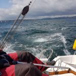 Mischief - Fowey Regatta